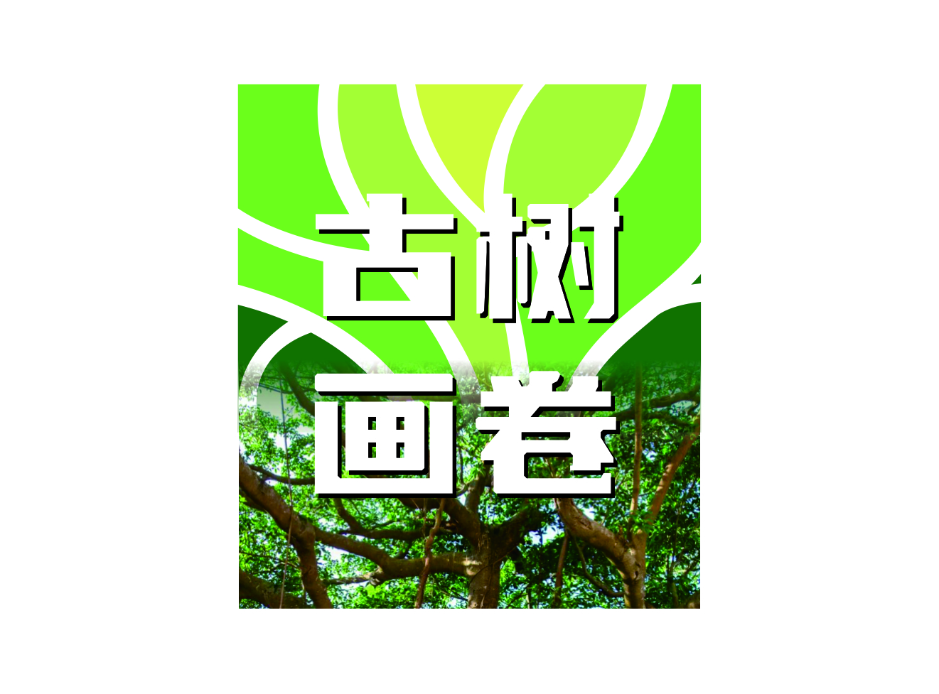 古樹畫卷認養管護管理系統